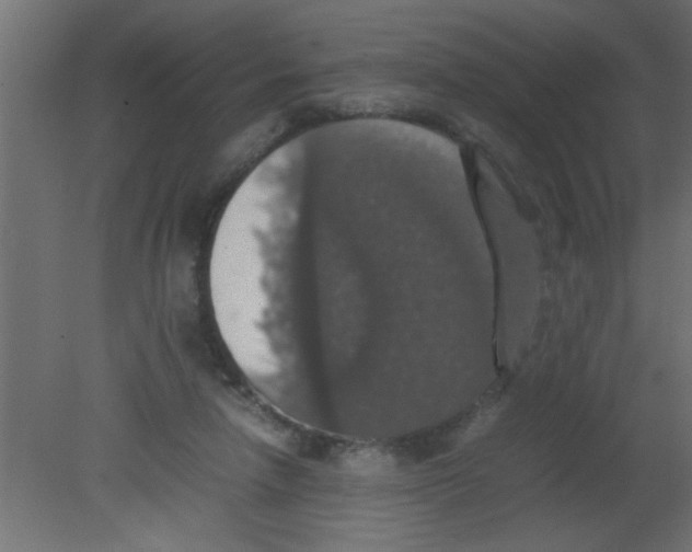 X0000080730258200701121918