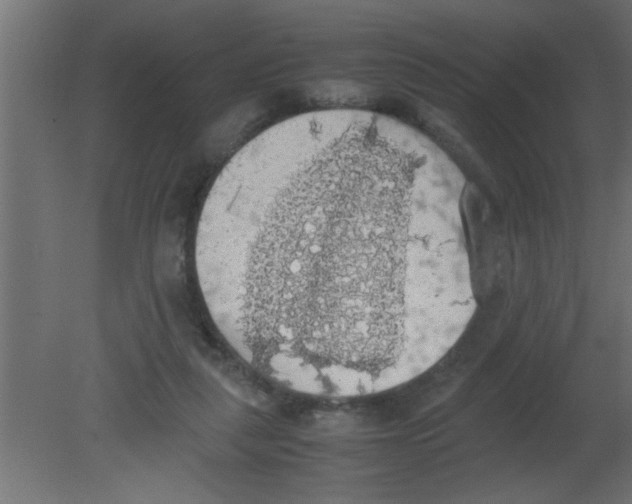 X0000080730259200701121918