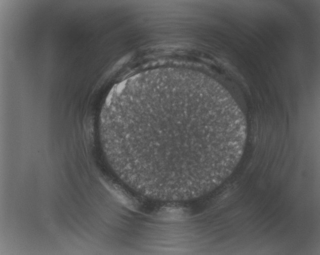 X0000080730260200701121918