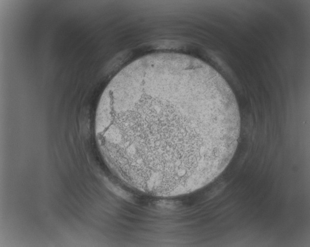 X0000080730261200701121918