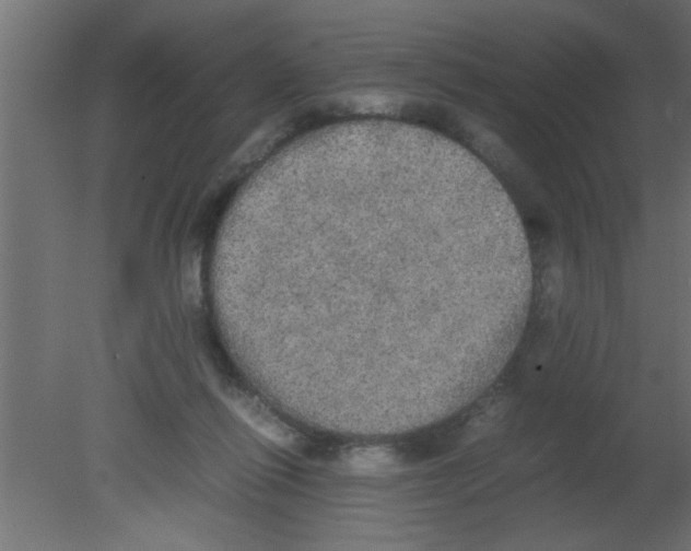 X0000080730262200701121918