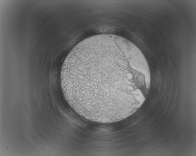 X0000080730263200701121918