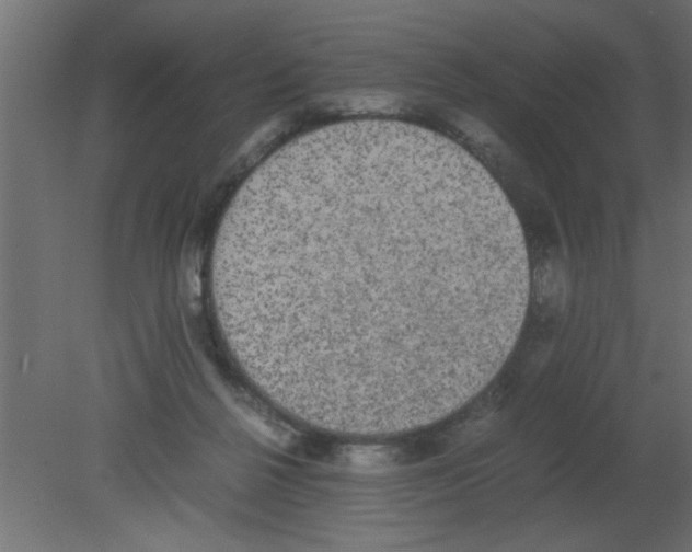 X0000080730264200701121918