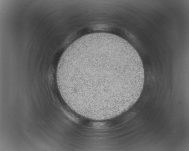 X0000080730265200701121918