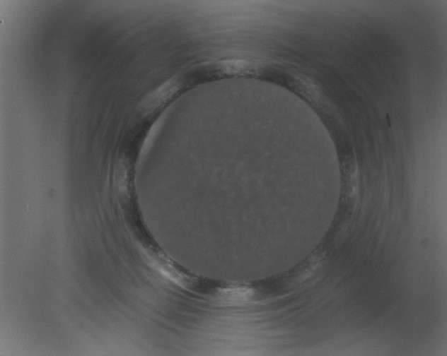 X0000080730266200701121918