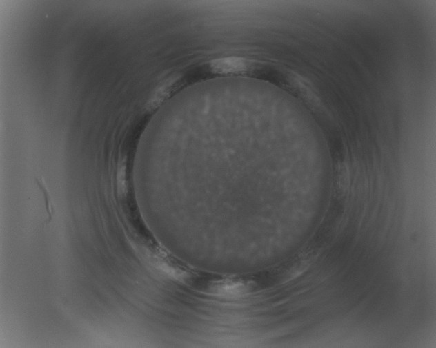 X0000080730267200701121918