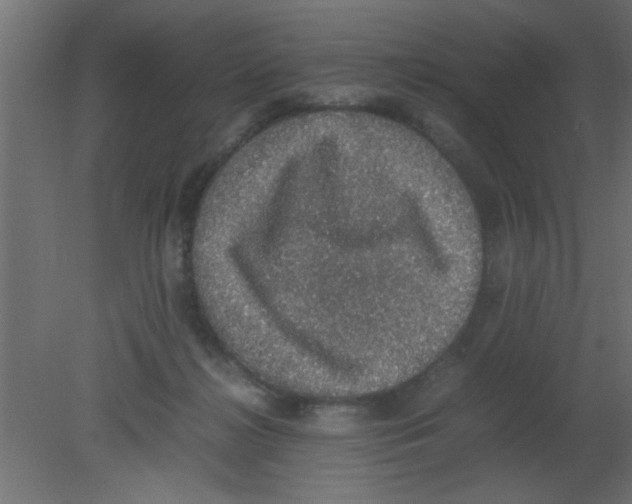 X0000080730268200701121918