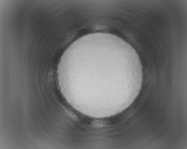 X0000080730269200701121918