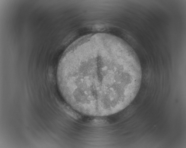 X0000080730270200701121918