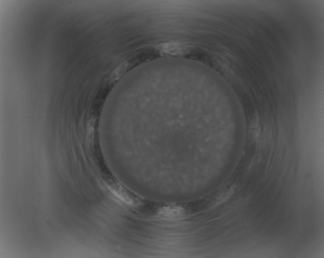 X0000080730271200701121918