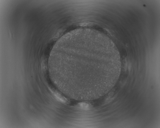 X0000080730272200701121918