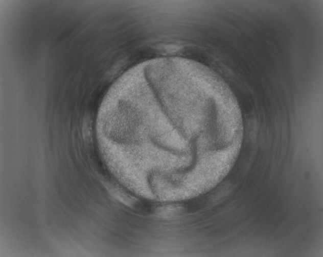 X0000080730274200701121918