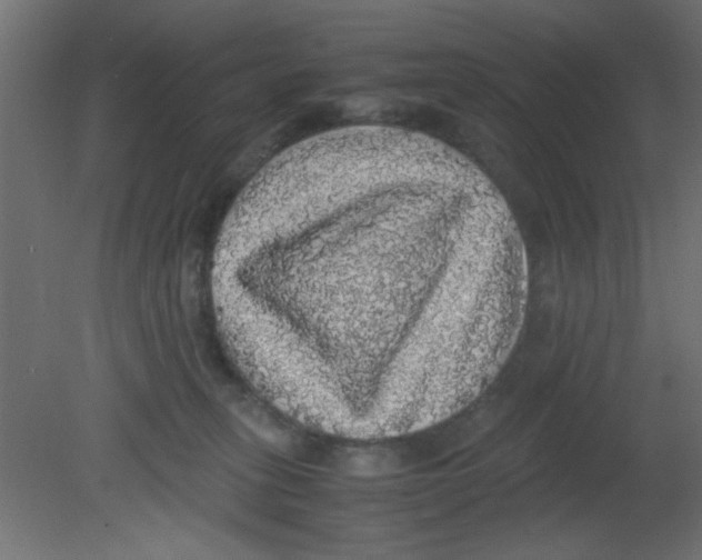 X0000080730275200701121918