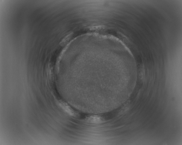 X0000080730276200701121918