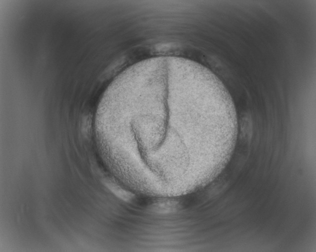 X0000080730278200701121918