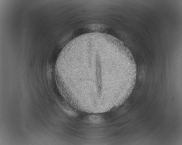 X0000080730279200701121918