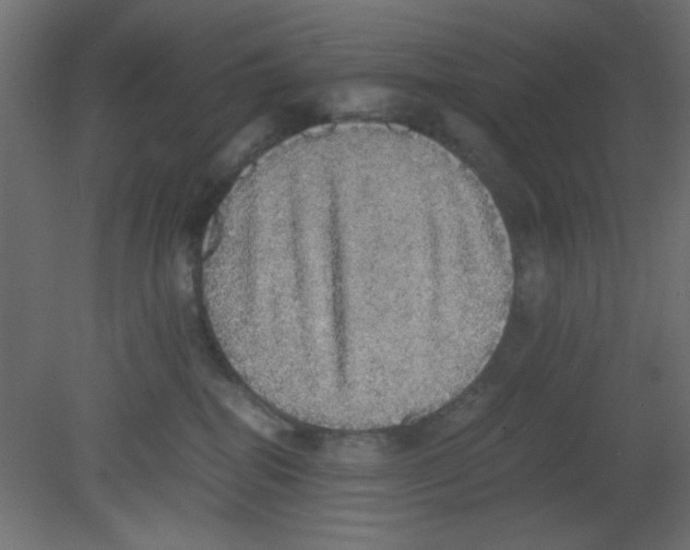 X0000080730282200701121918