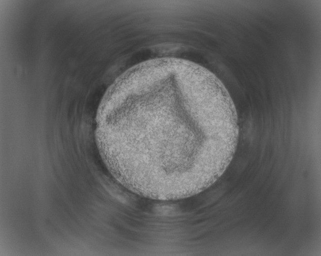 X0000080730283200701121918