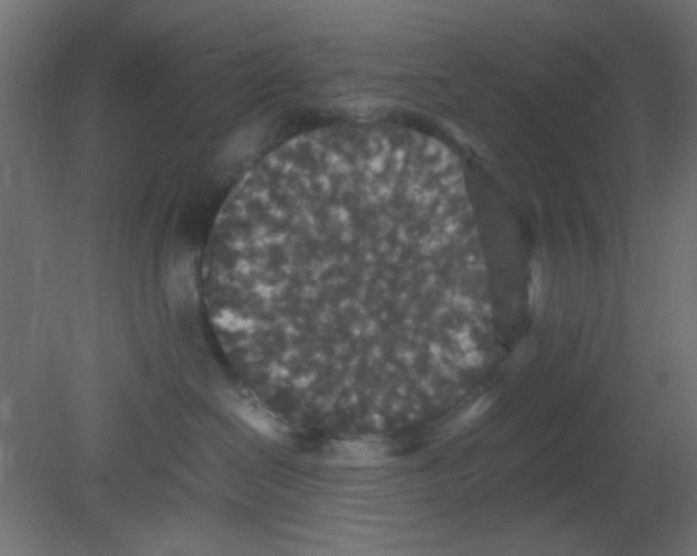 X0000080730286200701121918