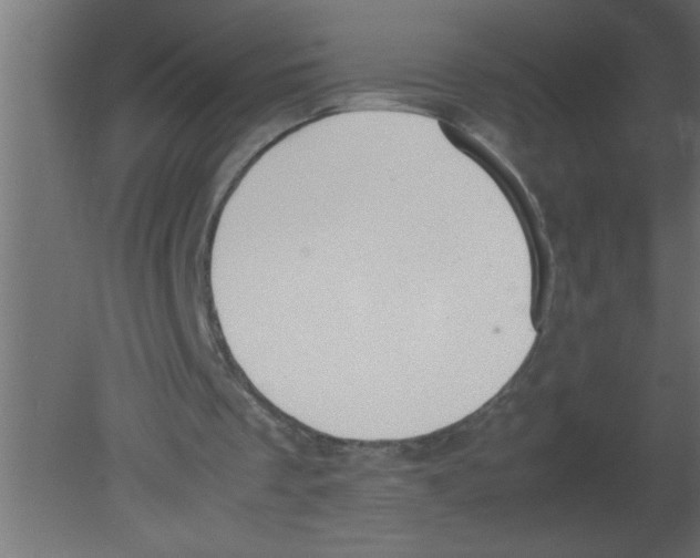 X0000080730289200701121918