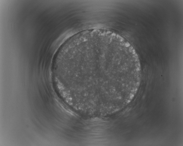 X0000080730290200701121918