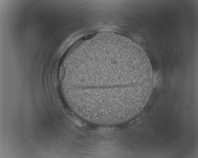 X0000080730291200701121918