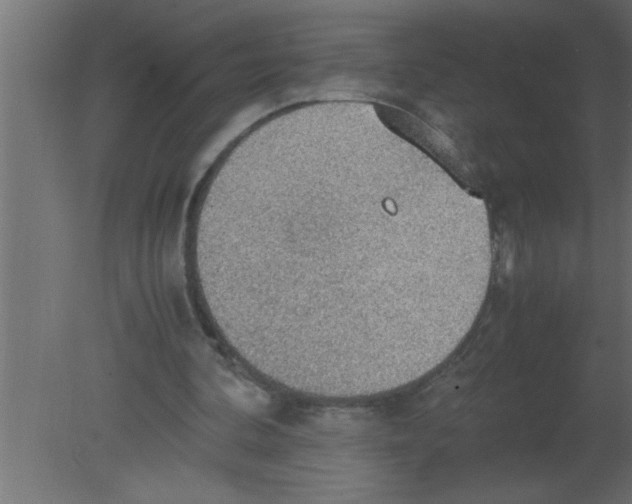 X0000080730292200701121918