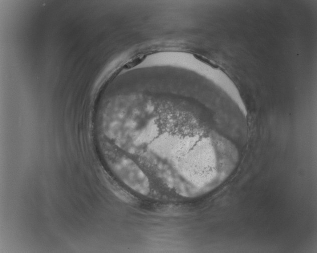 X0000080730293200701121918