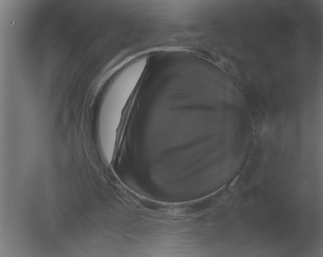 X0000080730295200701121918