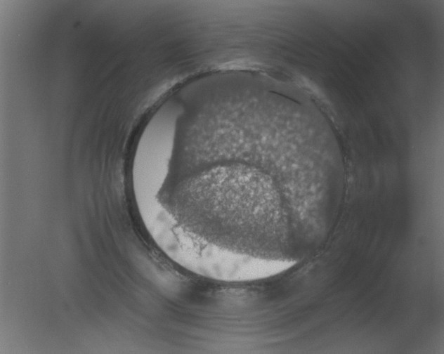 X0000080730298200701121917