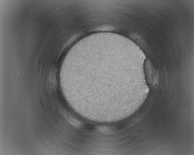 X0000080730300200701121917