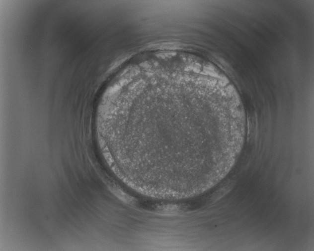 X0000080730301200701121917