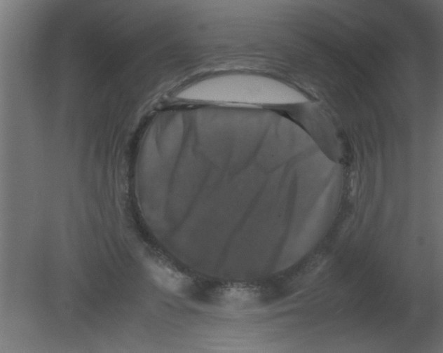 X0000080730303200701121917