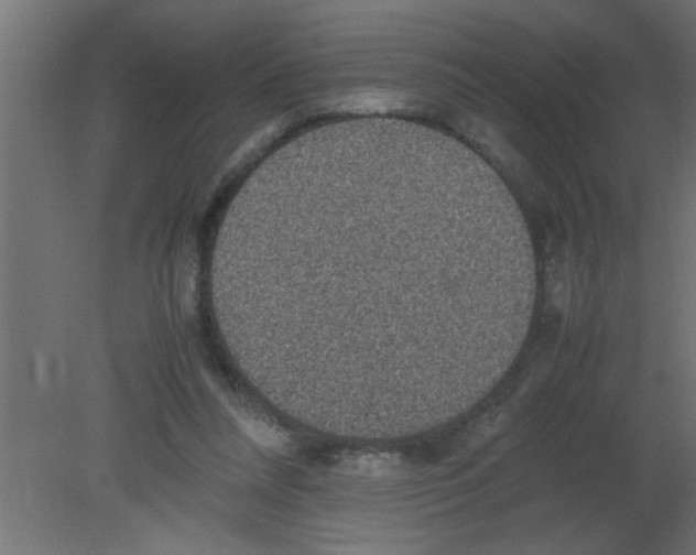 X0000080730304200701121917