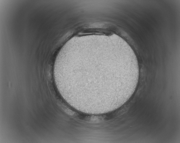 X0000080730305200701121917