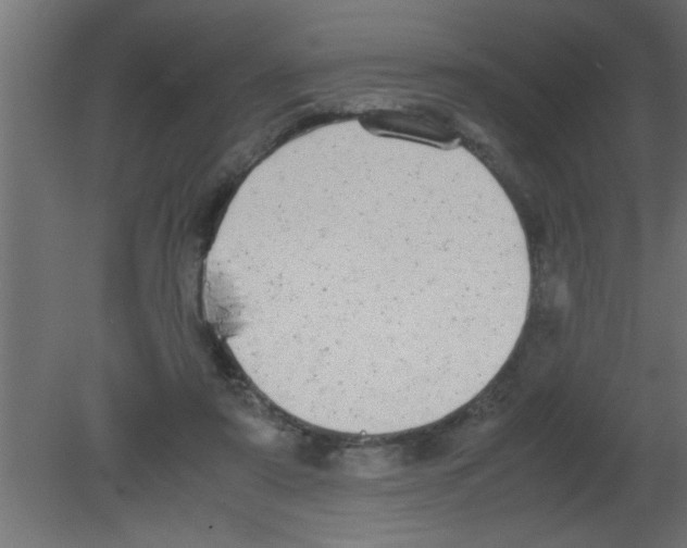 X0000080730307200701121917