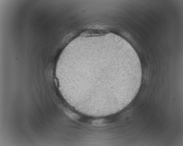 X0000080730309200701121917