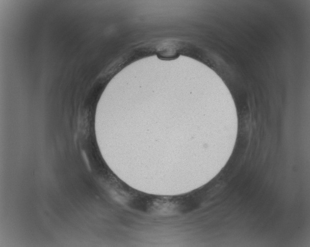 X0000080730311200701121917