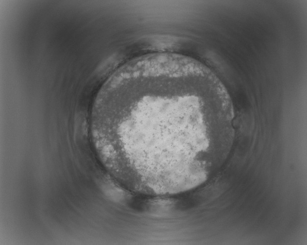 X0000080730313200701121917