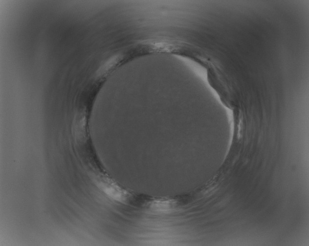 X0000080730314200701121917