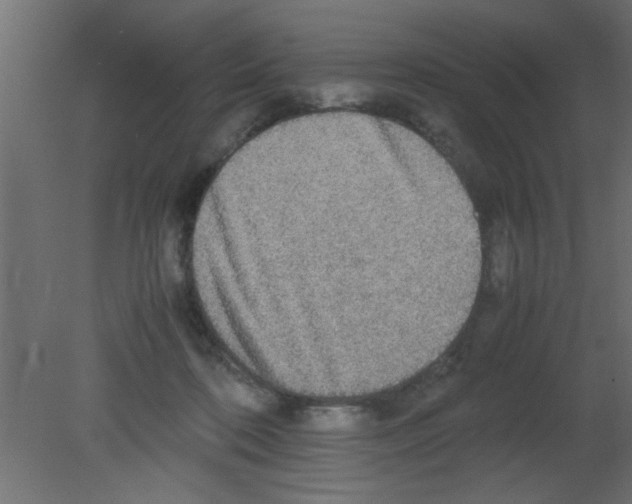 X0000080730316200701121917