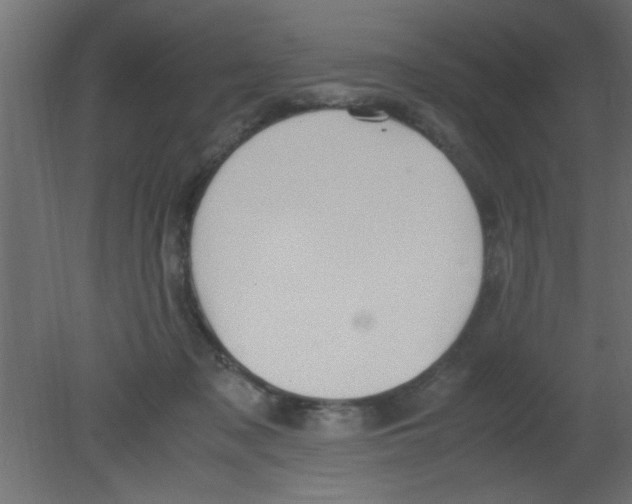 X0000080730317200701121917