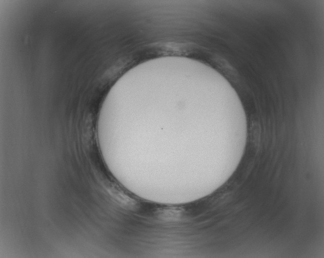 X0000080730318200701121917