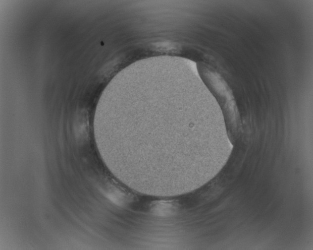 X0000080730320200701121917