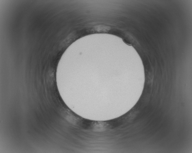 X0000080730321200701121917