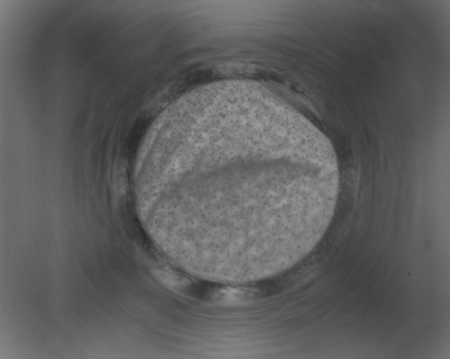 X0000080730323200701121917