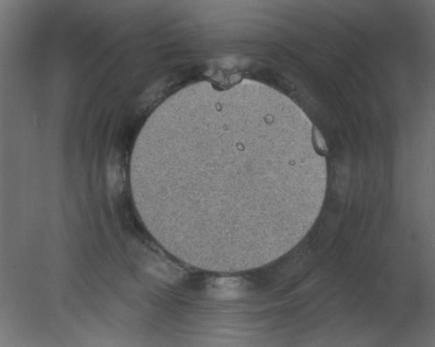 X0000080730324200701121917