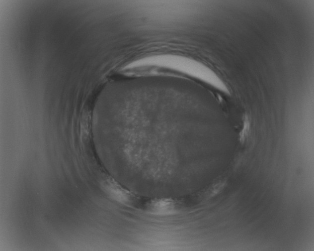 X0000080730325200701121917