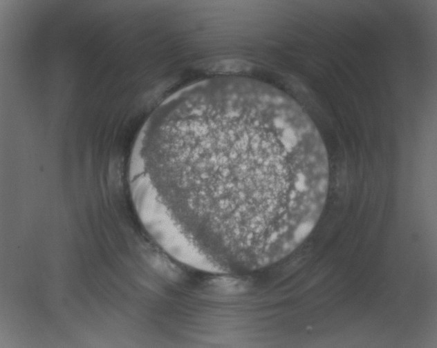 X0000080730326200701121917