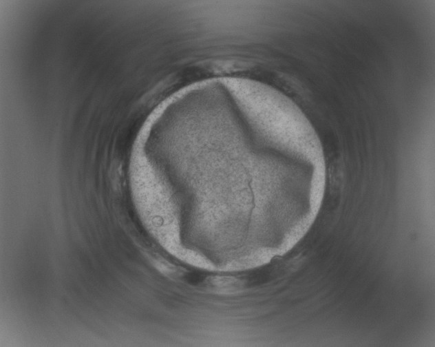 X0000080730327200701121917